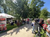 Kurpark Bad-Neuenahr 2026